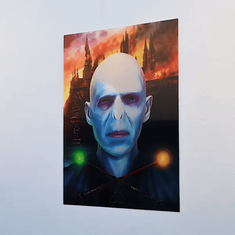 Harry Potter & Voldemort 3D Transition Poster